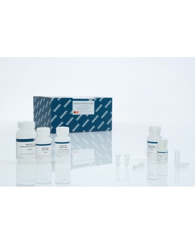 QIAAMP DNA MINI KIT QIAGEN 51306 - PACK DE 250 TESTS