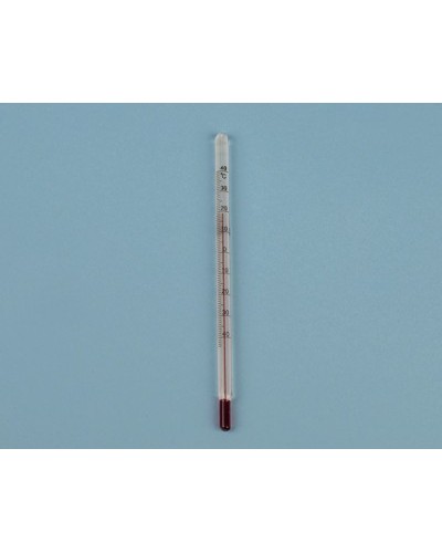 Thermomètre pour réfrigérateur