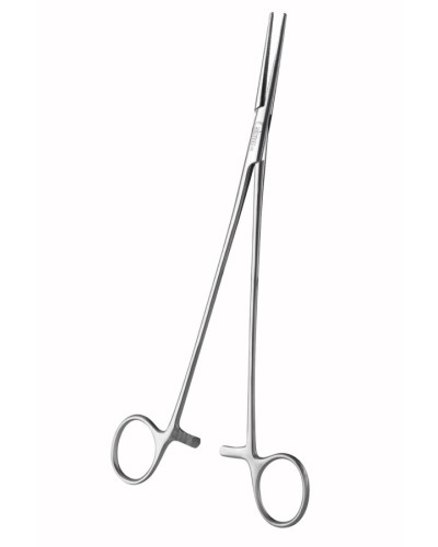 PINCES BENGOLÉA DROITE S/G 24 CM, en acier inoxydable