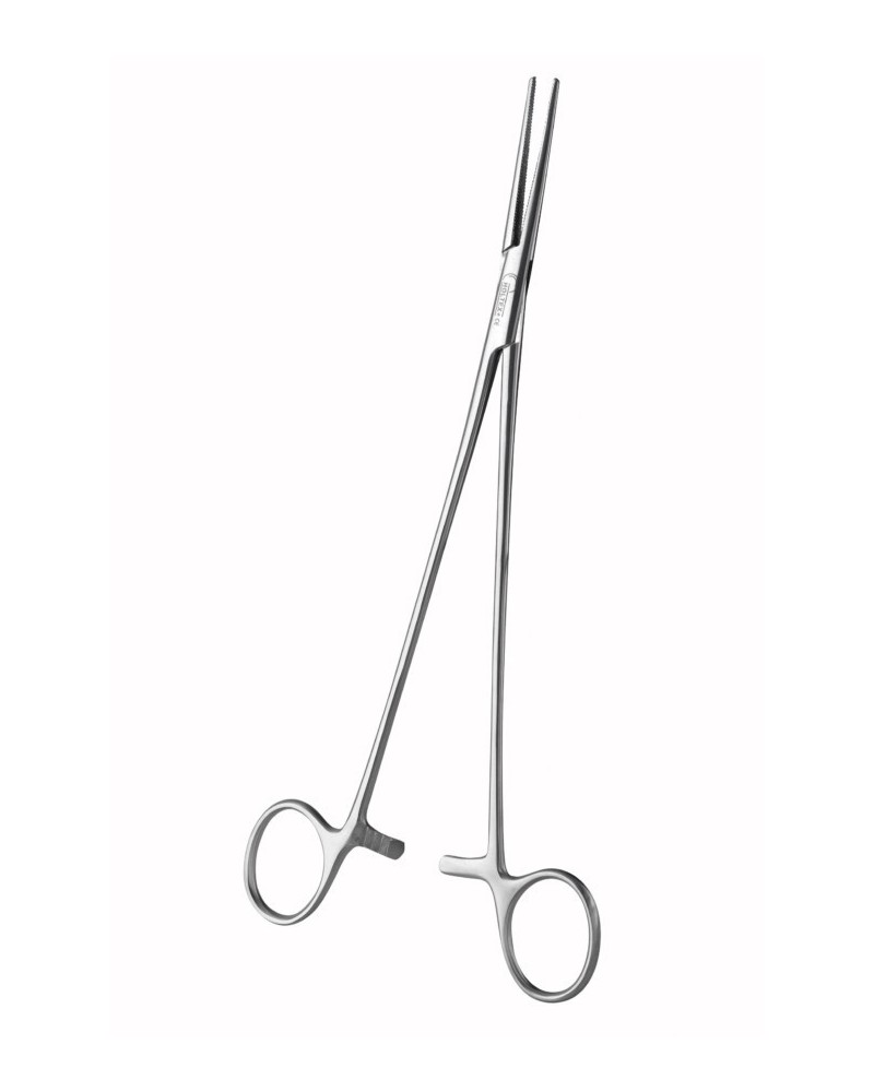 PINCES BENGOLÉA DROITE S/G 24 CM, en acier inoxydable