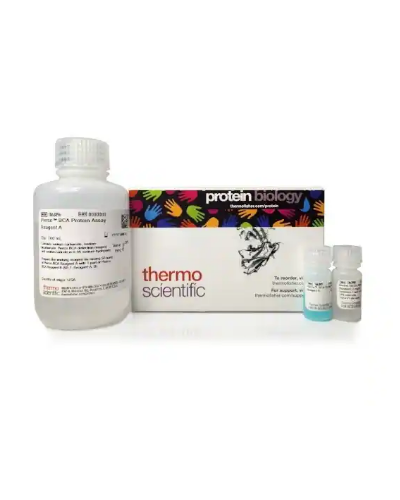 Kit de Réactifs (protéine) sérique  pour Mini Lite Plus