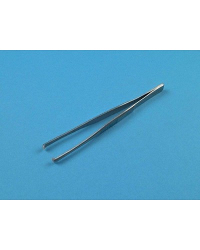 Pince Dissection de Quenu, 15 cm