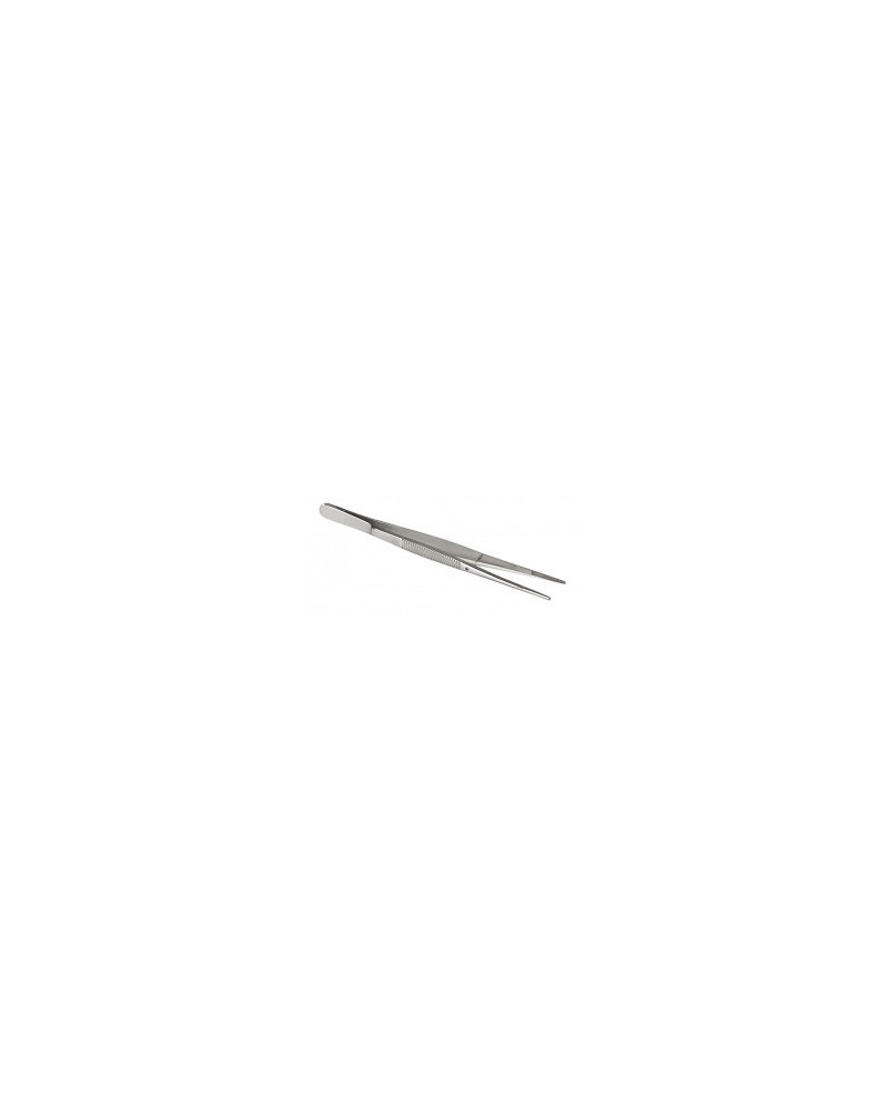 Pince dissection S/G 22 cm, en acier inoxydable