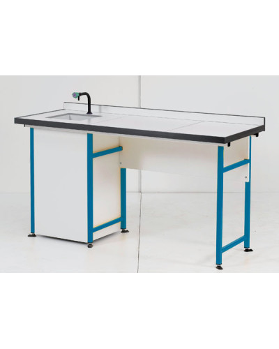 Paillasse de laboratoire en acier (260*750* cm) avec module de lavage intégré.