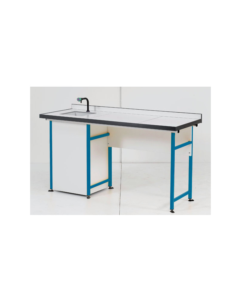 Paillasse de laboratoire en acier (260*750* cm) avec module de lavage intégré.