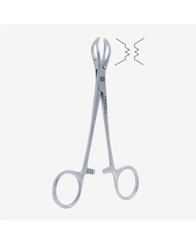 Pince à champs LANE 19.5cm