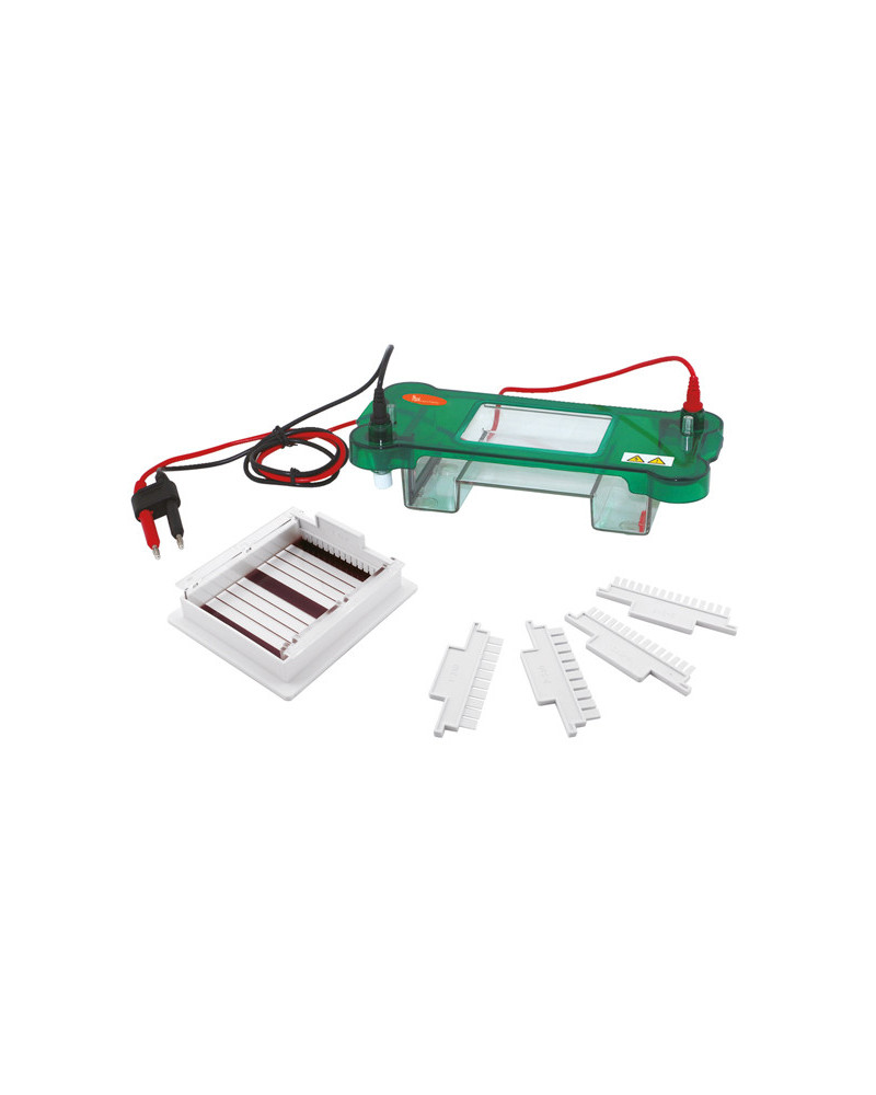 SYSTÈME D’ÉLECTROPHORÈSE HORIZONTAL