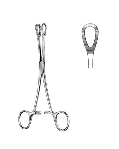 Pince à badigeon ou de Foerster