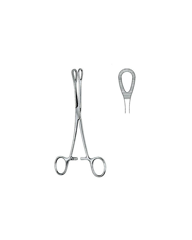 Pince à badigeon ou de Foerster