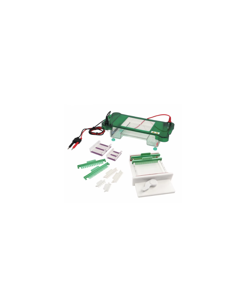 Réservoir d\'électrophorèse horizontale, Modèle JY-SPCT