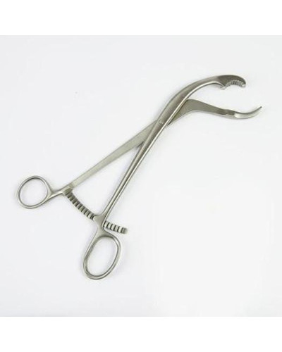 Davier Verbrugge, réducteur, mors acérés, coudé 24 cm