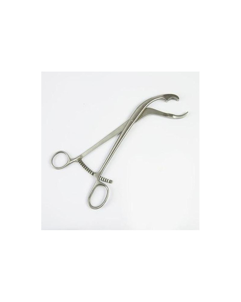 Davier Verbrugge, réducteur, mors acérés, coudé 24 cm