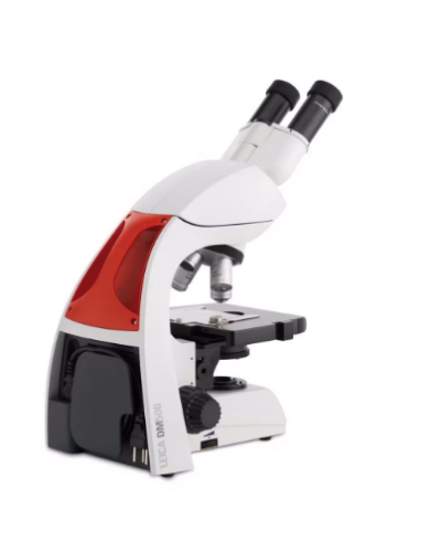 Microscope binoculaire DM500