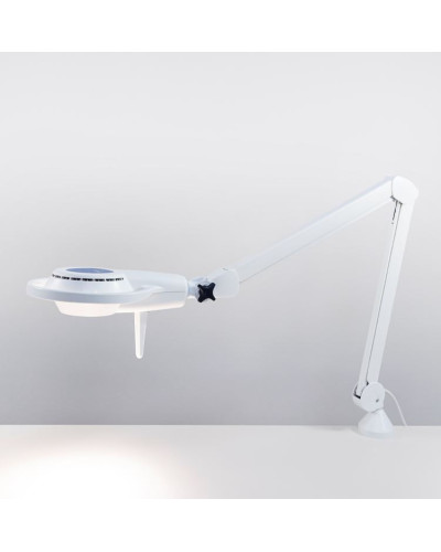 Lampe d\'examen, Modèle MS LED