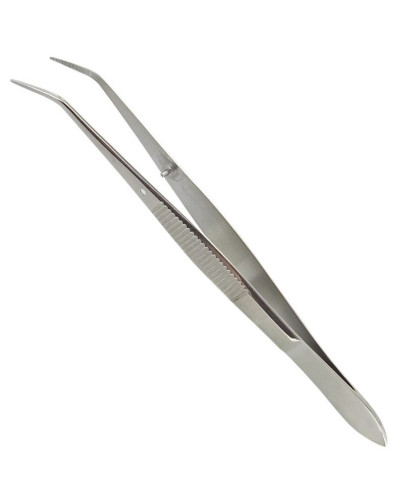 PINCE BRUCELLE, S/G, COUDEE, 13 CM