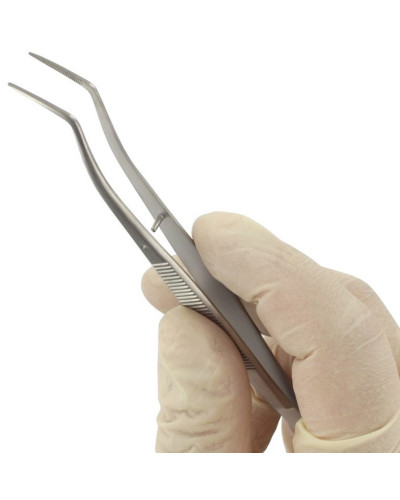 PINCE BRUCELLE, S/G, COUDEE, 13 CM
