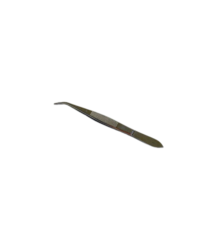 Pince Brucelle A/G coudée 13 cm