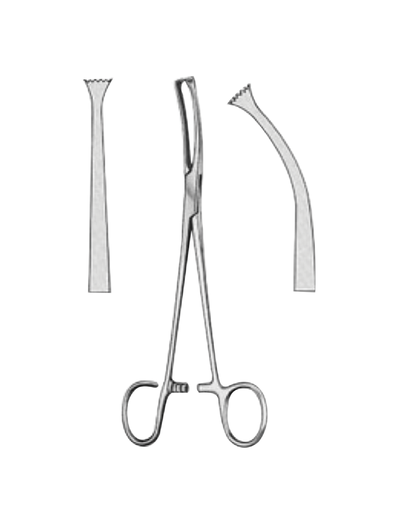 Pince à  Amygdales de Colver courbe, 19 cm