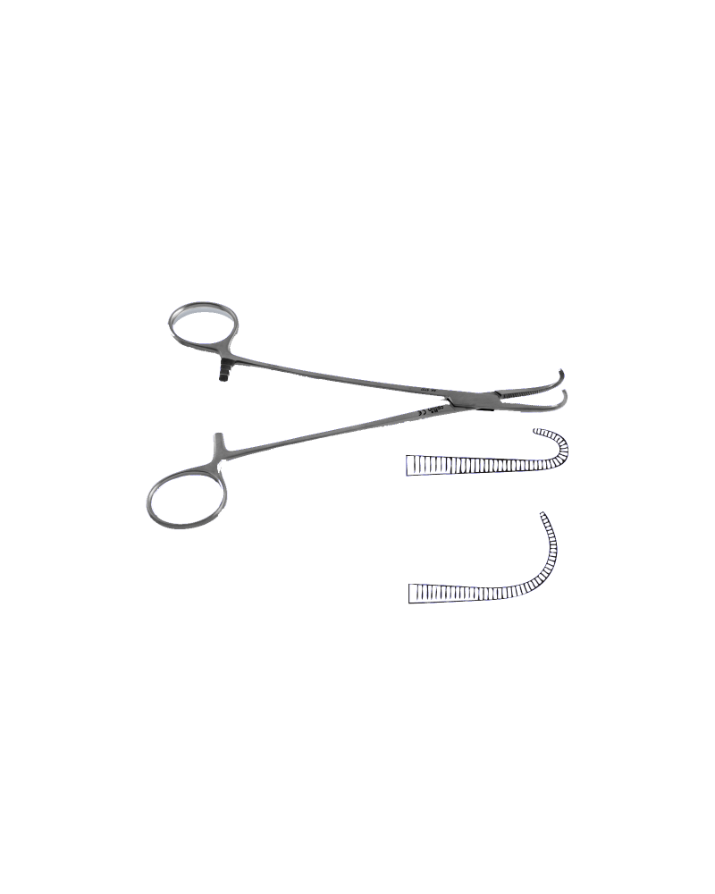 Pince Negus très courbe  19cm