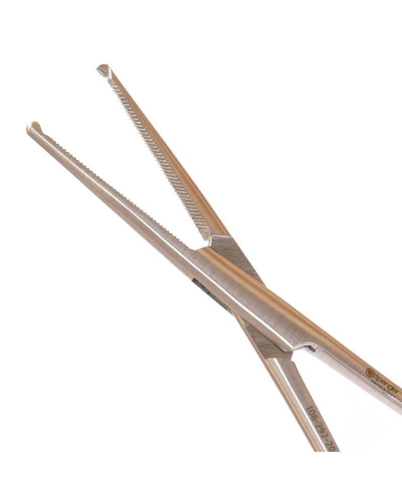 Pince de BENGOLEA, droite  avec griffe, 16 cm