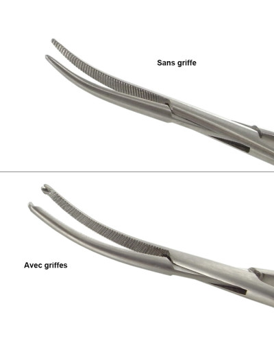 Pince de BENGOLEA, courbe avec griffe, 16 cm