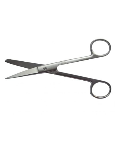 ciseaux	dauphin	droit	22cm	(1	bout	pointu/1	bout	mousse)