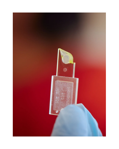 Microcuvettes HemoCue Hb 501 (Boite de 4 x 50)