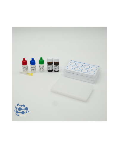 Test rapide syphilis RPR CHARBON, 150T