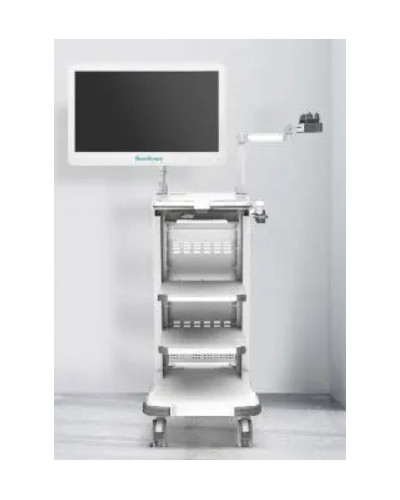 Colonne d'endoscopie vidéo Modèle Elysium Exera III