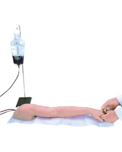 Bras d\'injection et intraveineux multi-veineux, peau claire