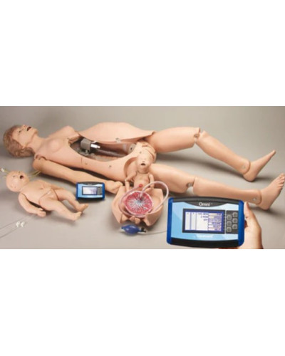 Torse maternel et néonatal de naissance modèle Noelle®