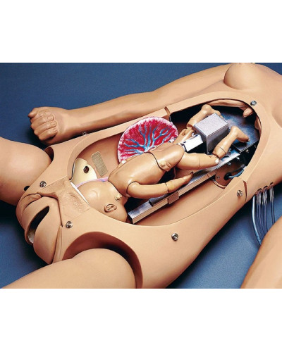Torse maternel et néonatal de naissance modèle Noelle®