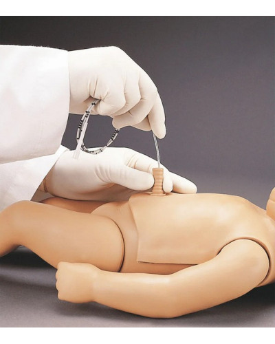 Torse maternel et néonatal de naissance modèle Noelle®