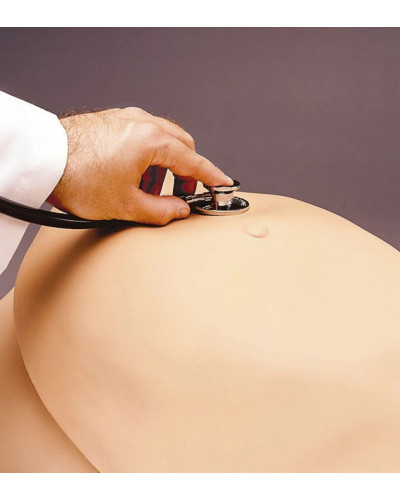 Torse maternel et néonatal de naissance modèle Noelle®