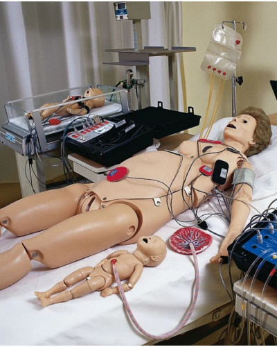 Torse maternel et néonatal de naissance modèle Noelle®