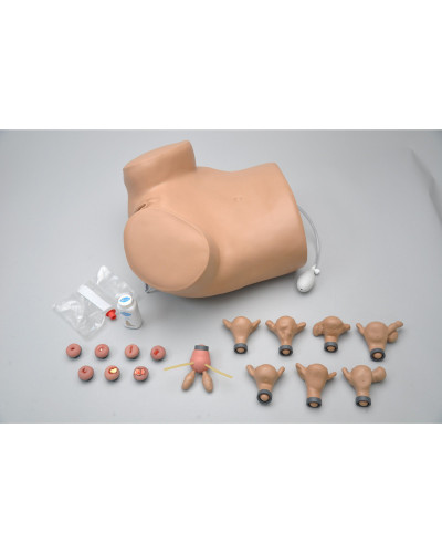 Simulateur gynécologique GYN / AID