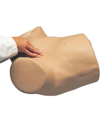 Simulateur gynécologique GYN / AID