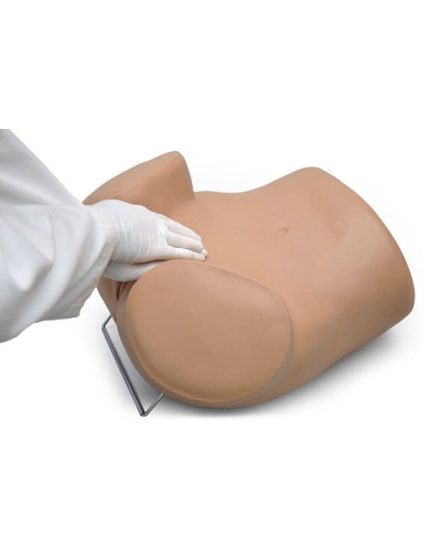Simulateur gynécologique GYN / AID