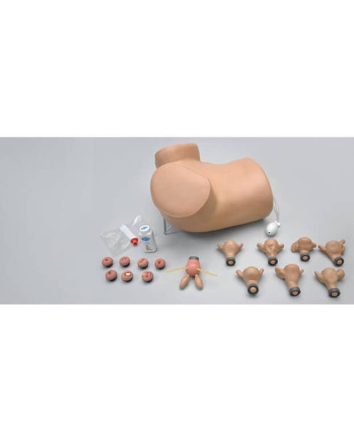 Simulateur gynécologique GYN / AID