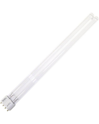 Lampes UV Philips 36W pour stérilisation