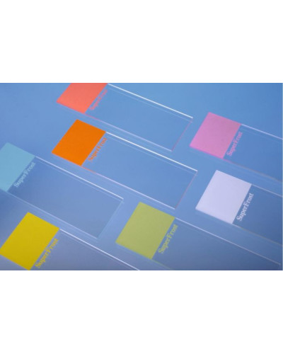 Lames Porte-objets SuperFrost, bords rodés à 90° Lames Porte-objets SuperFrost, bords rodés à 90°