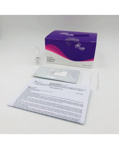 Kit de diagnostic rapide de l'antigène SARS-CoV-2 Kit de diagnostic rapide de l'antigène SARS-CoV-2