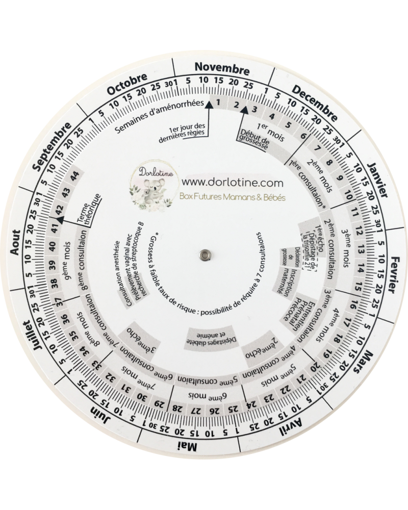 DISQUE DE GROSSESSE