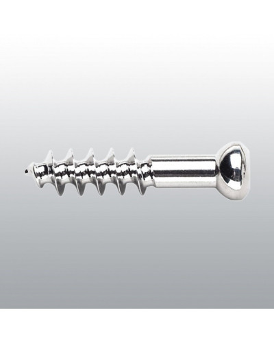 Vis spongieuse filetage moyen 6,5 mm Vis spongieuse filetage moyen 6,5 mm