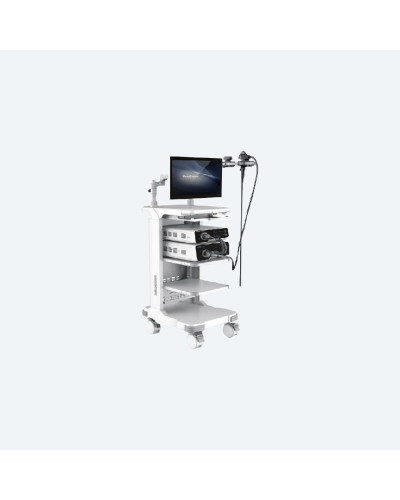 Colonne d'endoscopie vidéo (Bronchoscope) haute définition, modèle VBC-1T30
