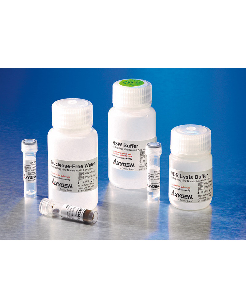 Kit de réactif de purification d'acides nucléiques