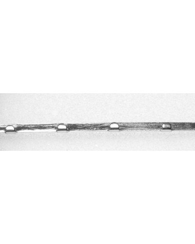 Arcs vestibulaire de Duclos,  La Paire