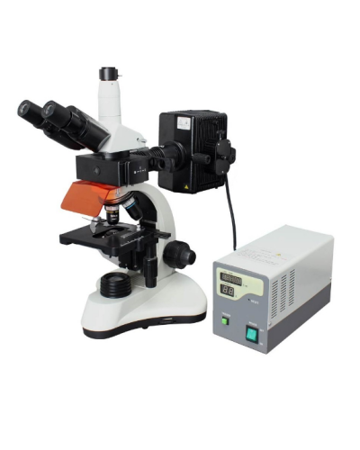 Microscope binoculaire à  Epi fluorescence halogen Modèle EUM2003FL4