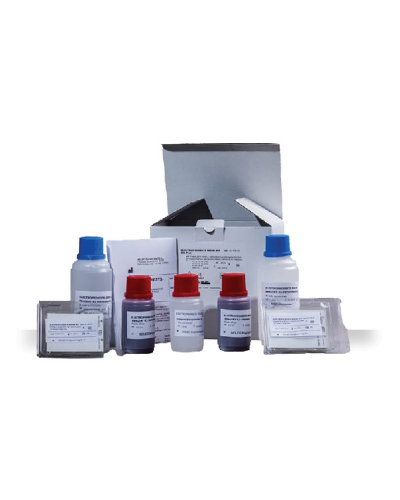 Kit d'immunofixation pour système d'électrophorèse ADALYA IFE, 25 Tests