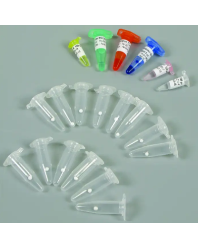 Kit PCR - Diagnostic microbiologique